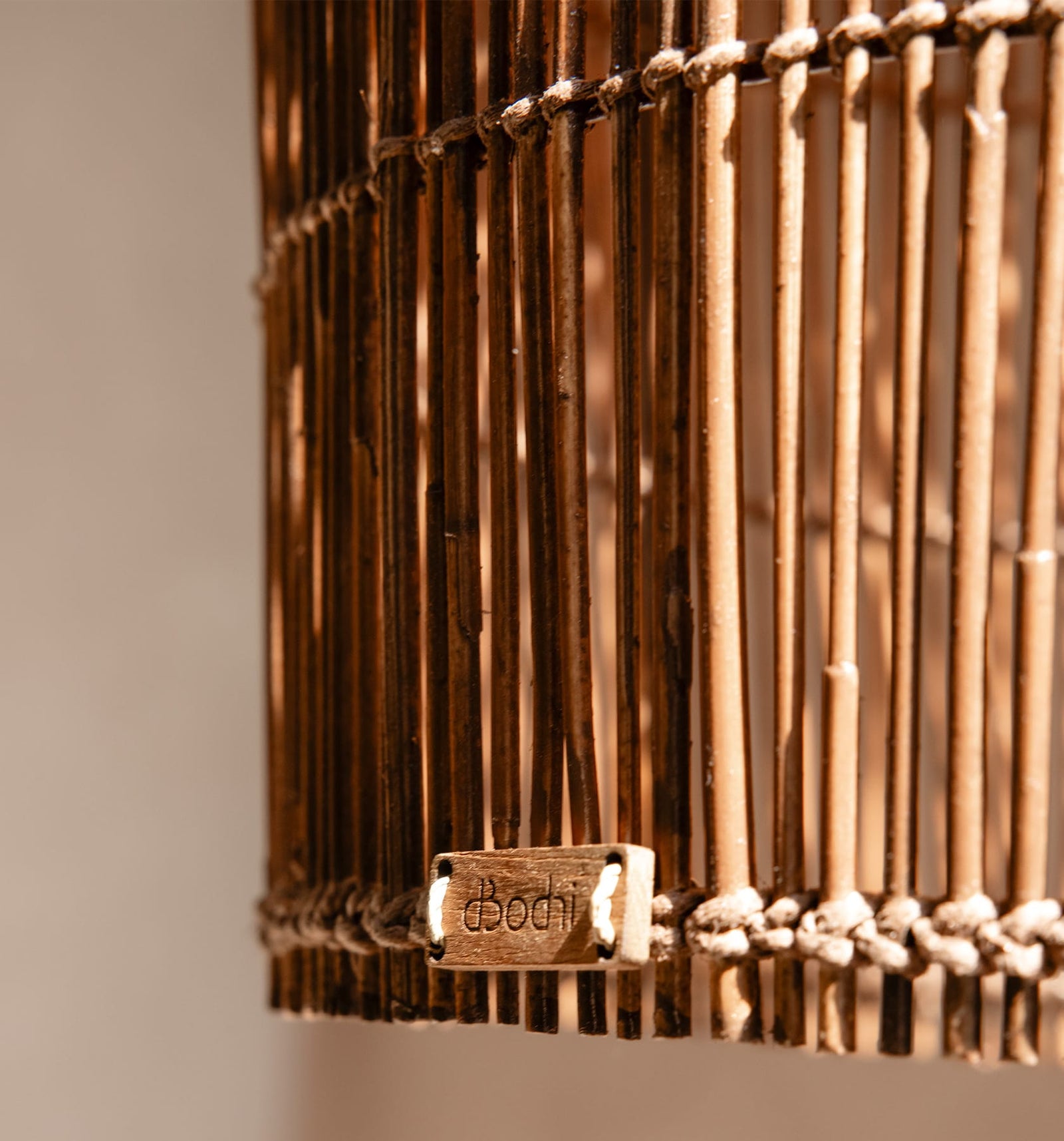 Aura Hanging Lamp