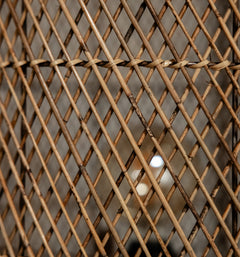 Aurora Standing Lamp - Rattan