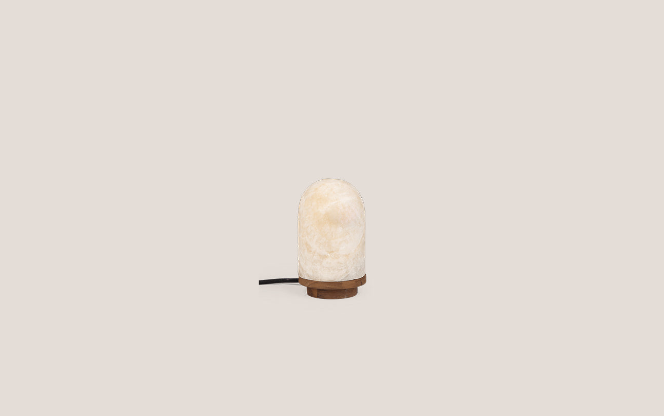 Onyx Bullet Light