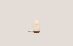 Onyx Bullet Light