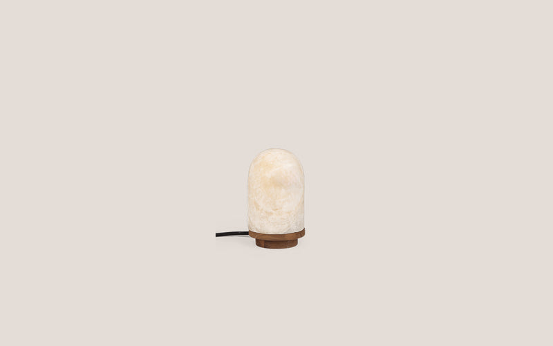 Onyx Bullet Light