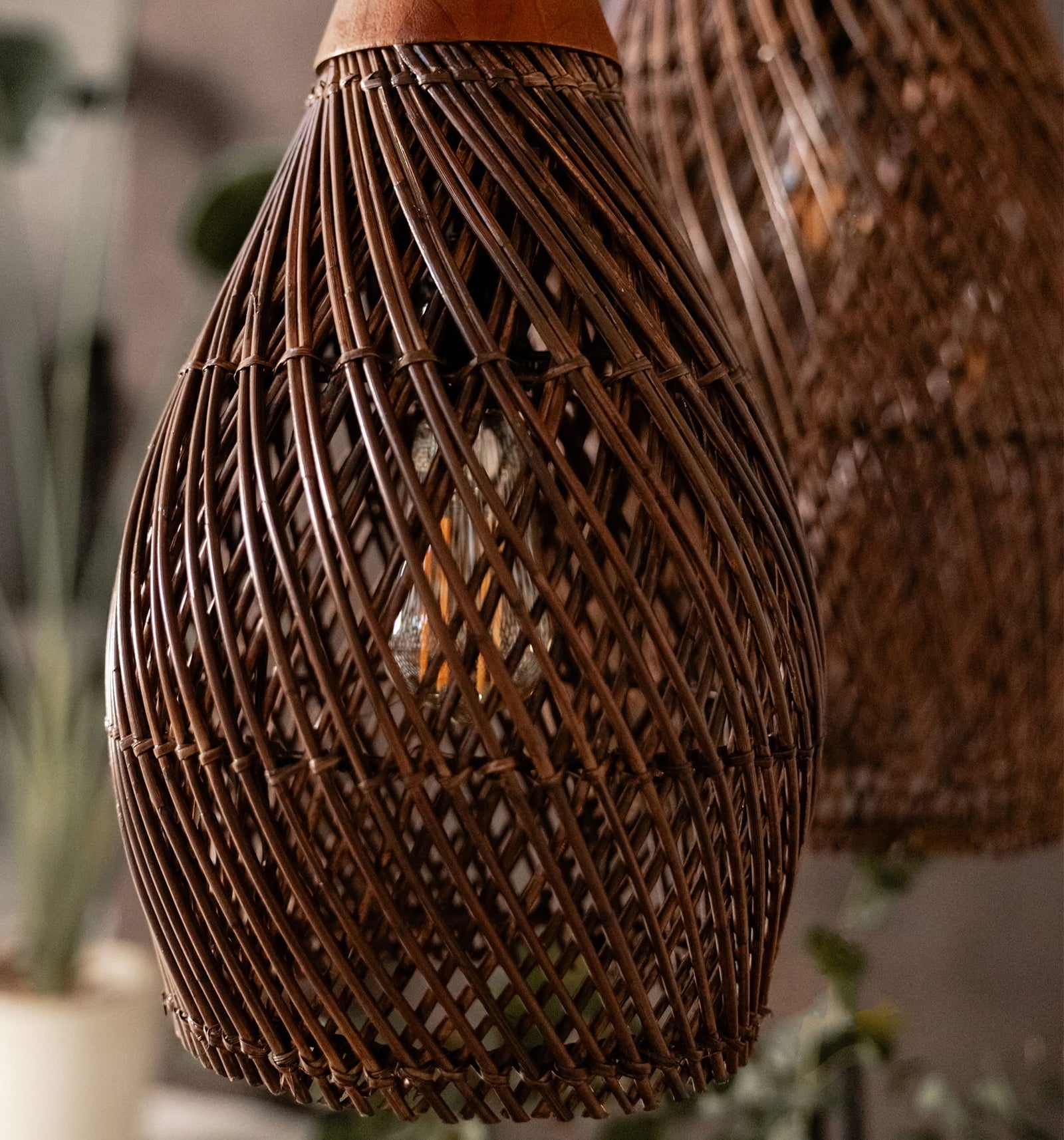 Bright Horn Lamp
