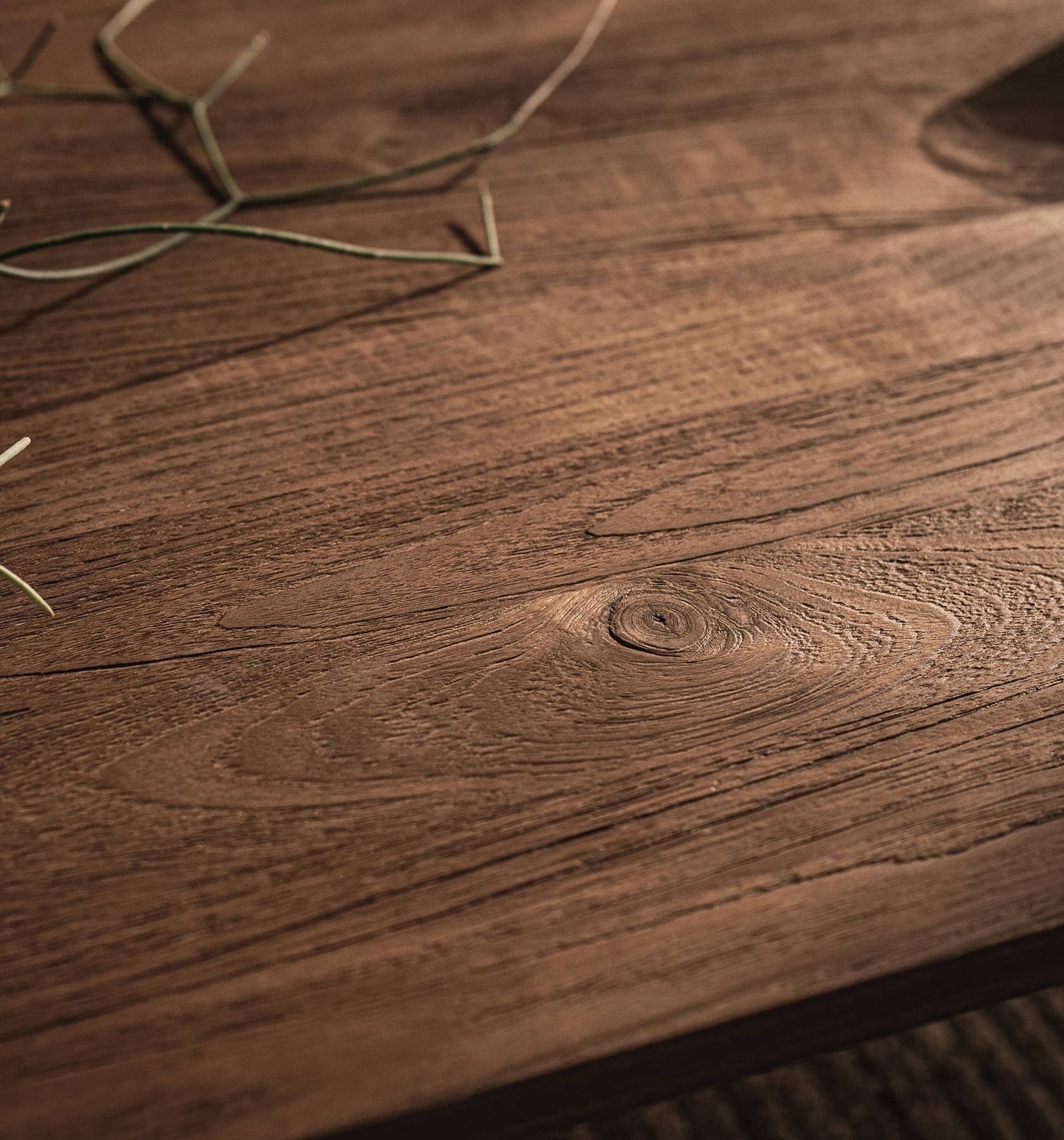 Coco Coffee Table Oval Legs