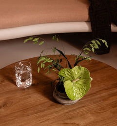 Wave Coffee Table Brown (Second Chance)