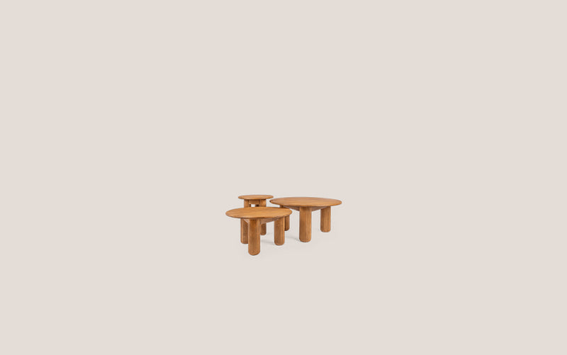 Dino Coffee Table Set of 3