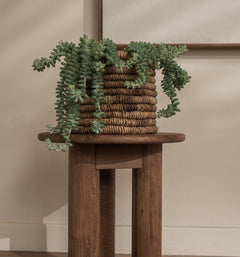 Dino Side Table