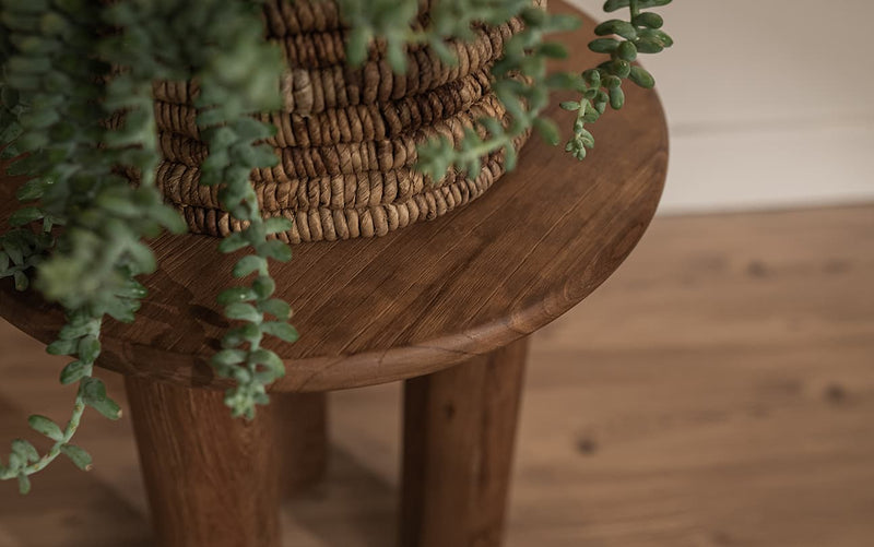 Dino Side Table
