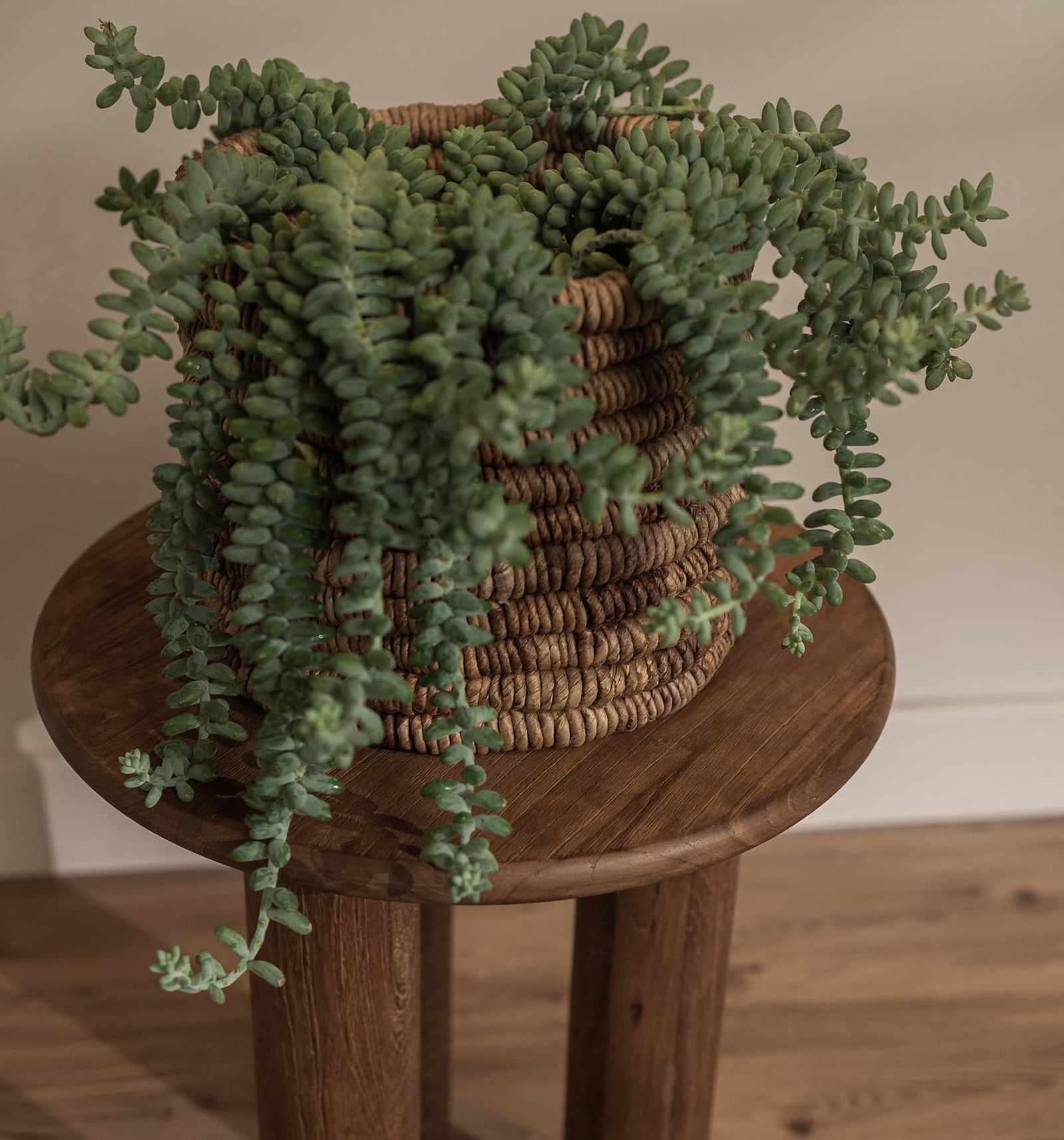Dino Side Table