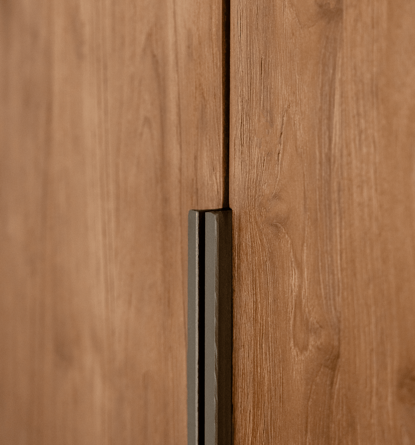Grace Cabinet 2 Doors