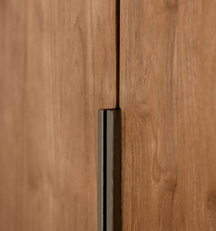 Grace Cabinet 2 Doors