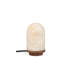 Onyx Bullet Light