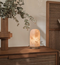 Onyx Bullet Light