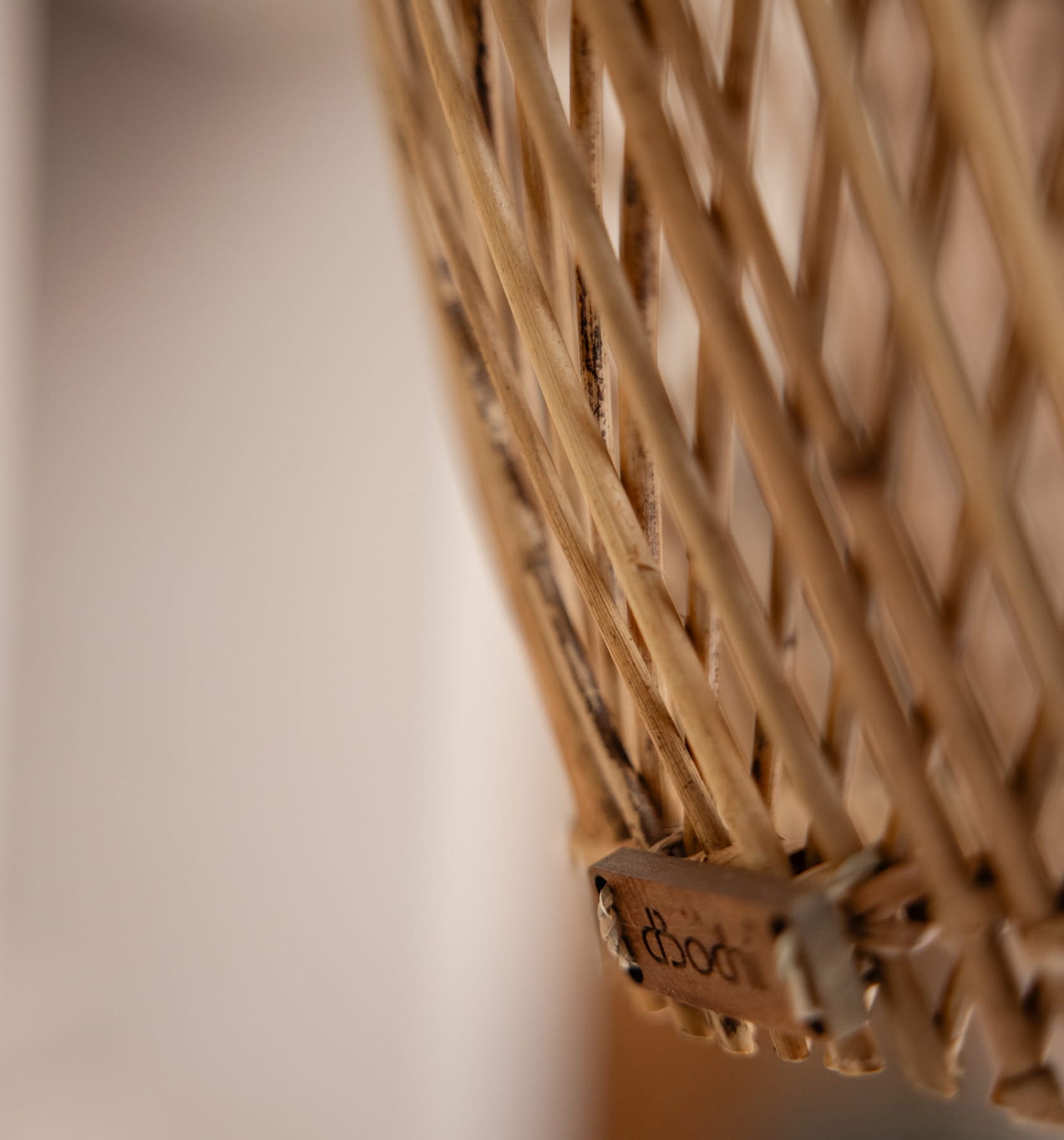 Bright Horn Lamp