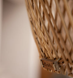 Bright Horn Lamp