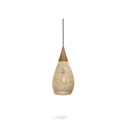 Bright Horn Lamp