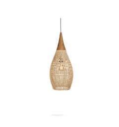 Bright Horn Lamp