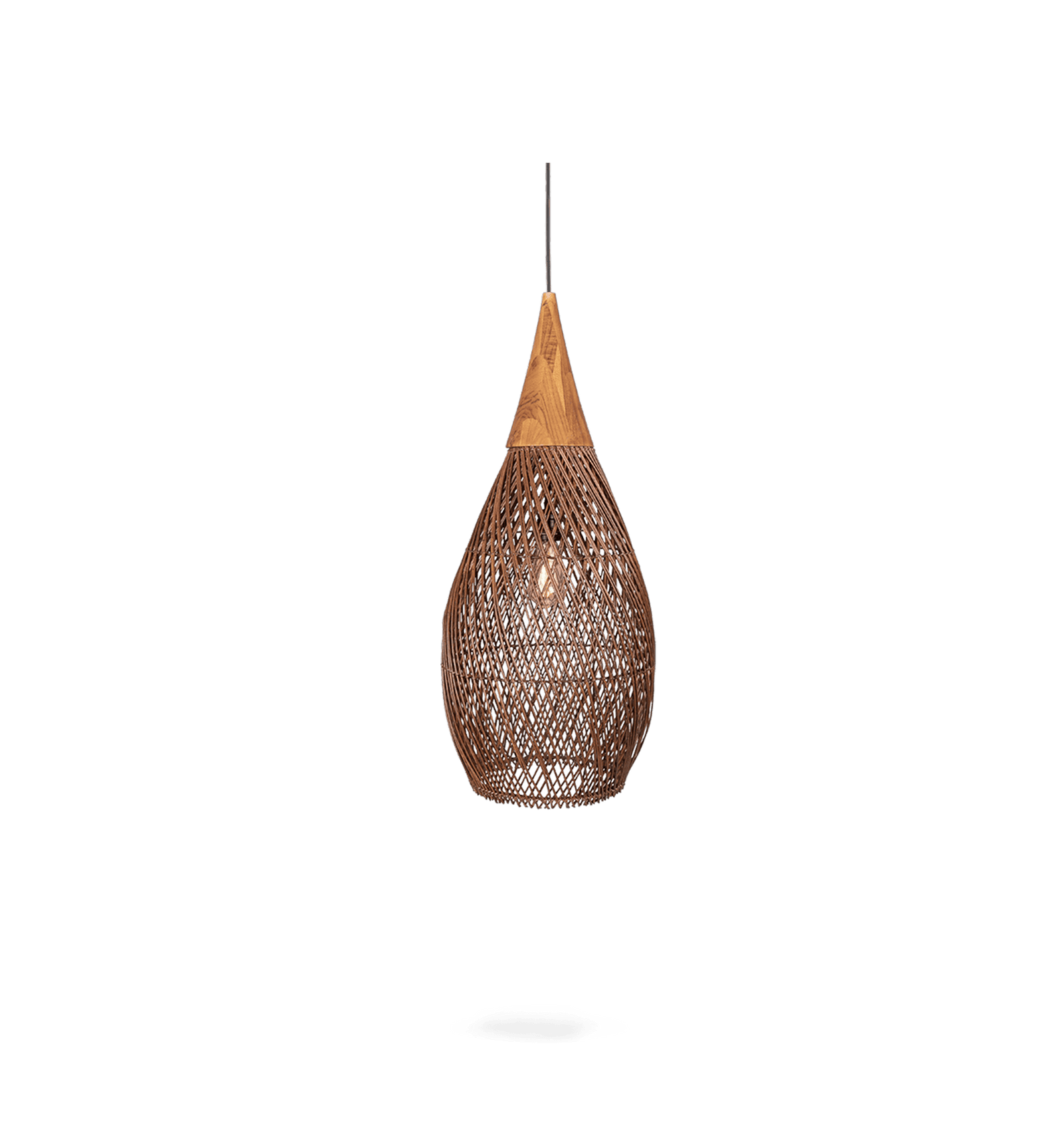 Bright Horn Lamp