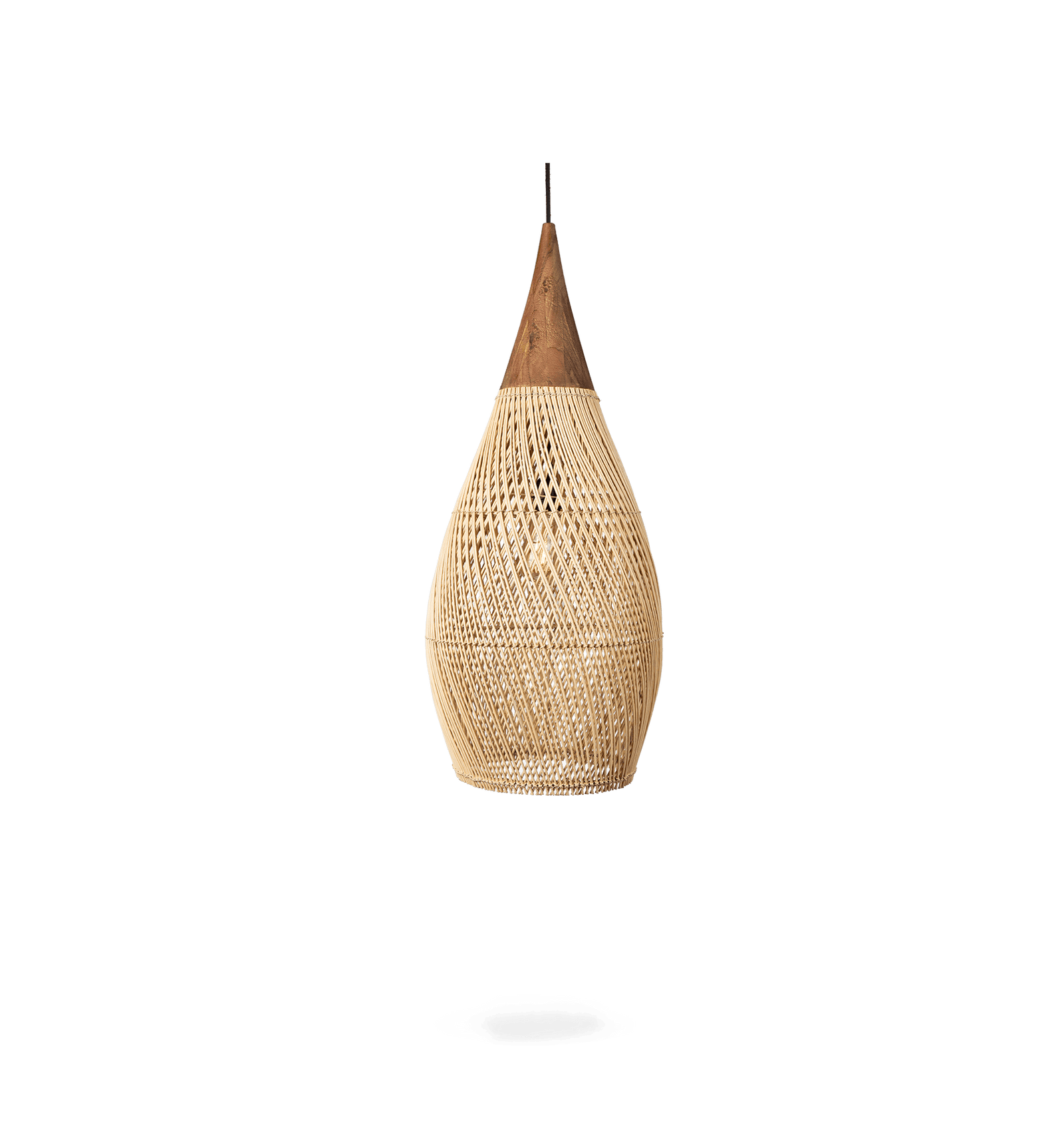 Bright Horn Lamp