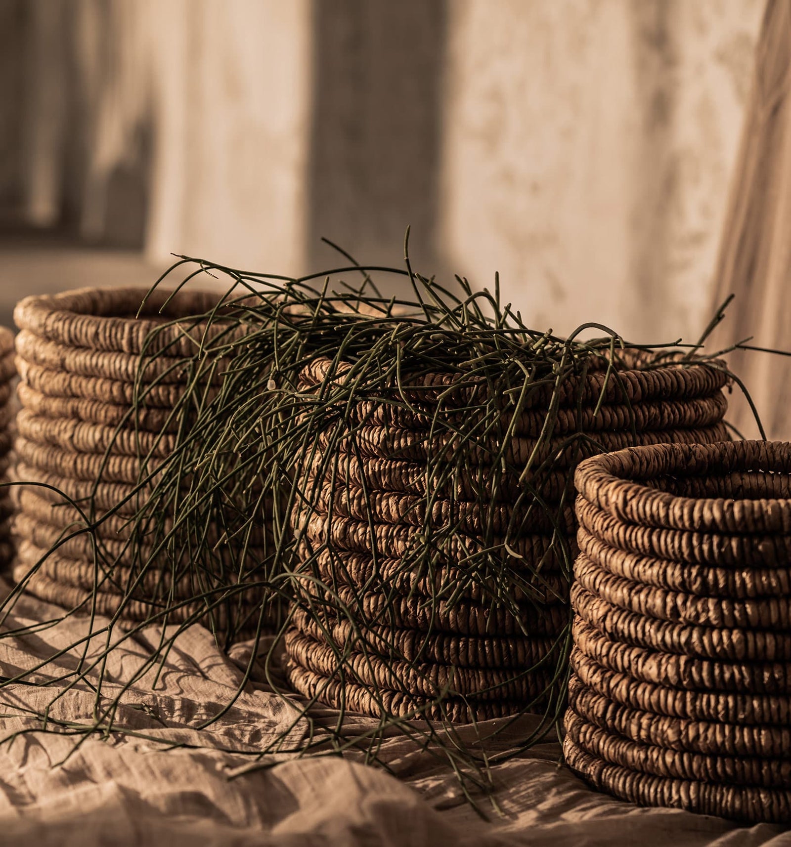 Caterpillar Ambang Medium Basket - Set of 2