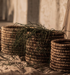 Caterpillar Ambang Medium Basket - Set of 2