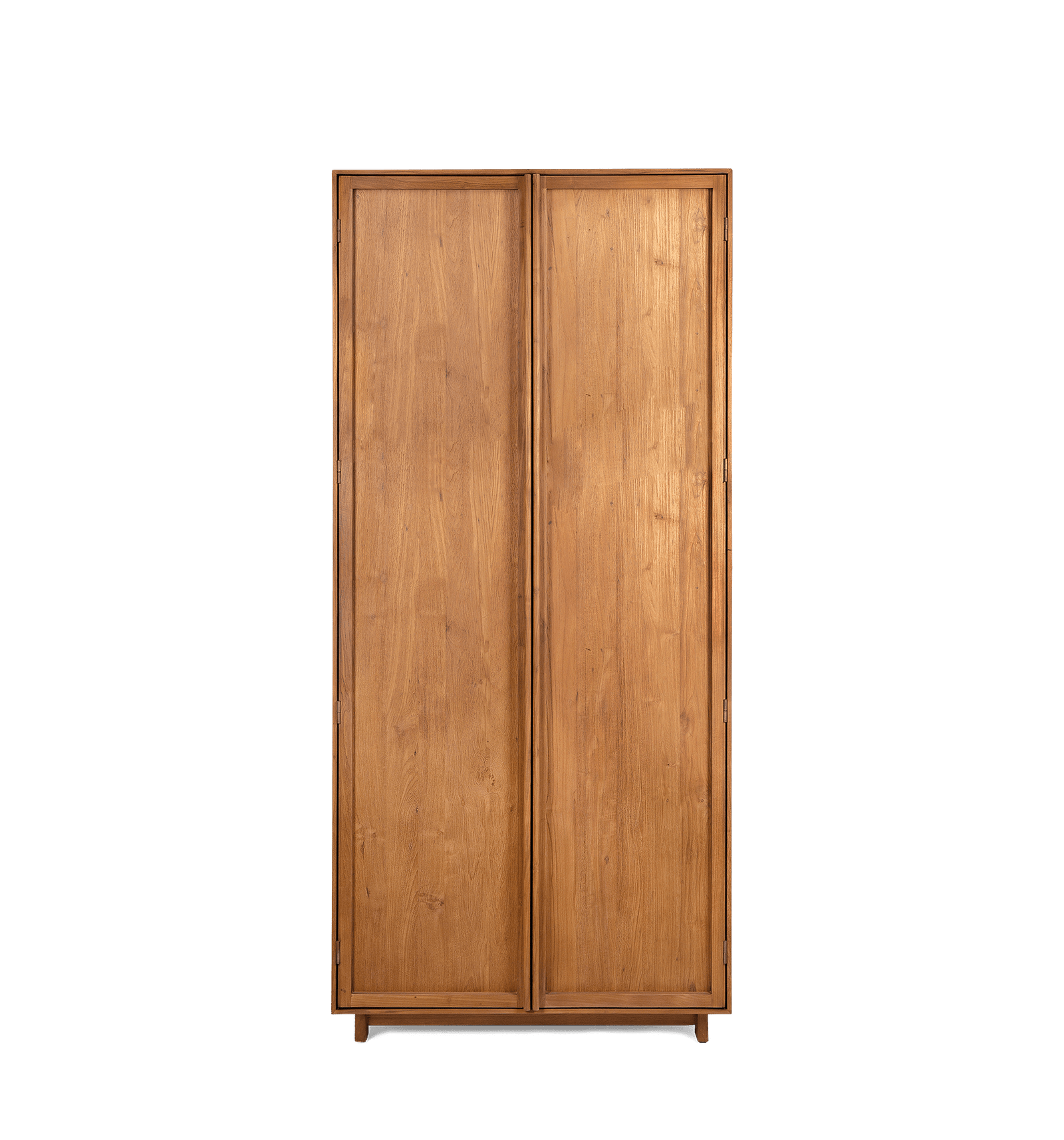Motion Cabinet 2 Doors