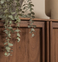 Motion Cabinet 2 Doors