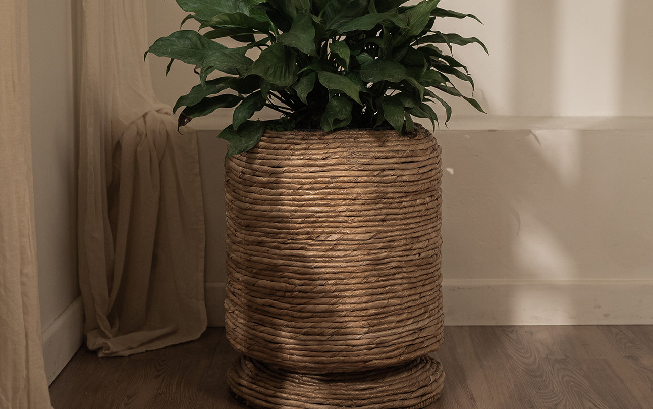 Cone Cover Pot