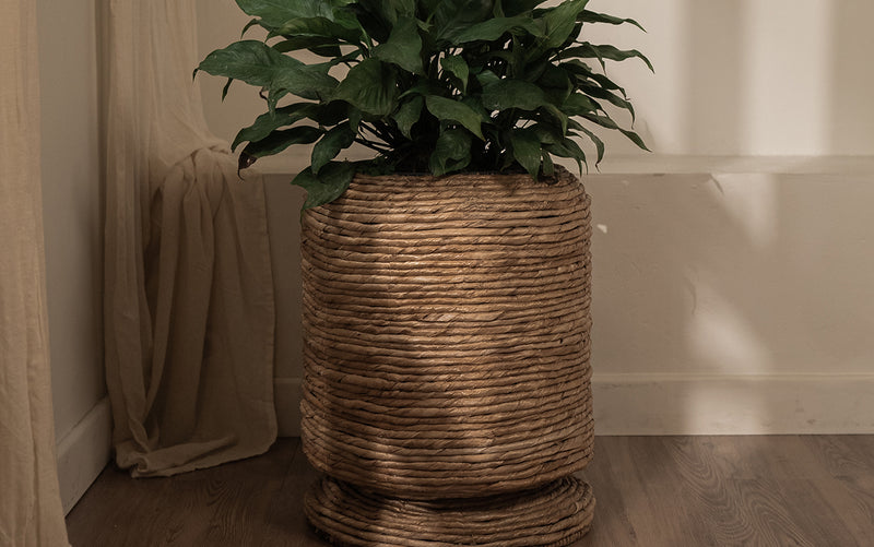 Cone Cover Pot