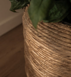 Cone Cover Pot