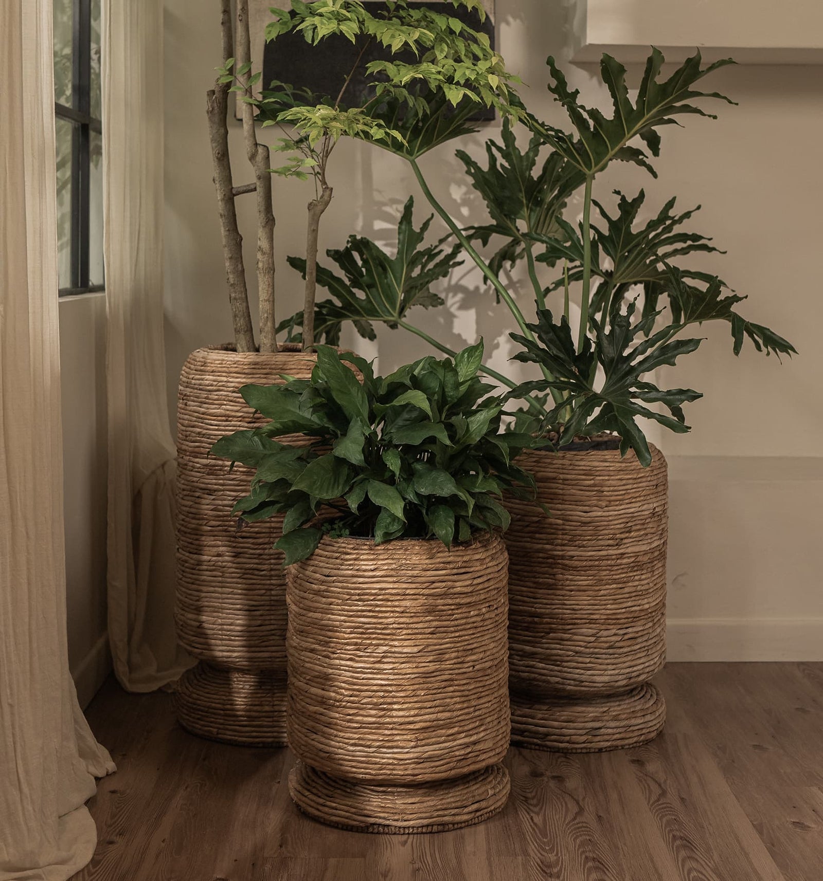 Cone Cover Pot