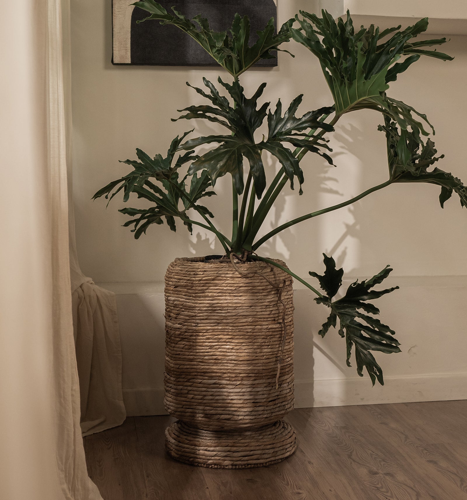 Cone Cover Pot