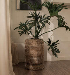 Cone Cover Pot