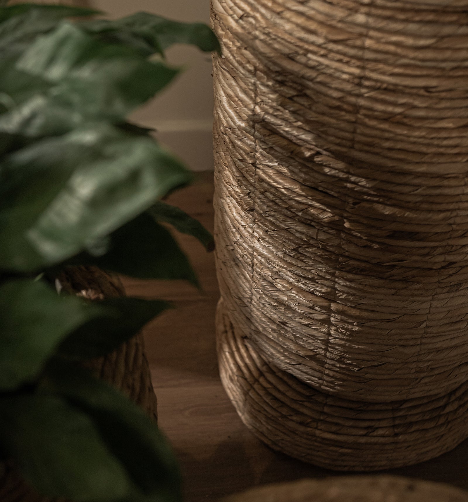 Cone Cover Pot