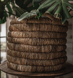 Caterpillar Sago Round Basket - Set Of 2