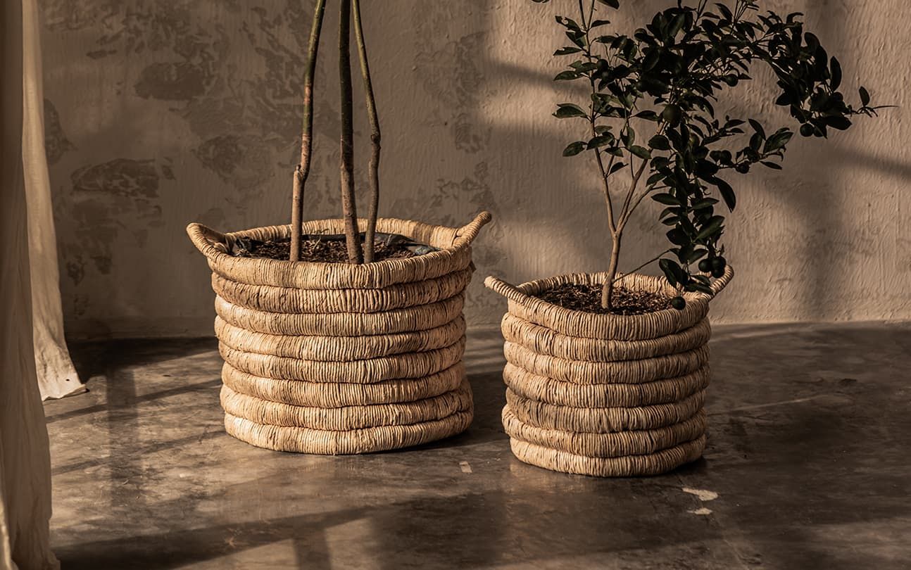 Caterpillar Sago Round Basket Set