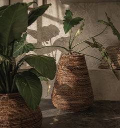 Java Planter
