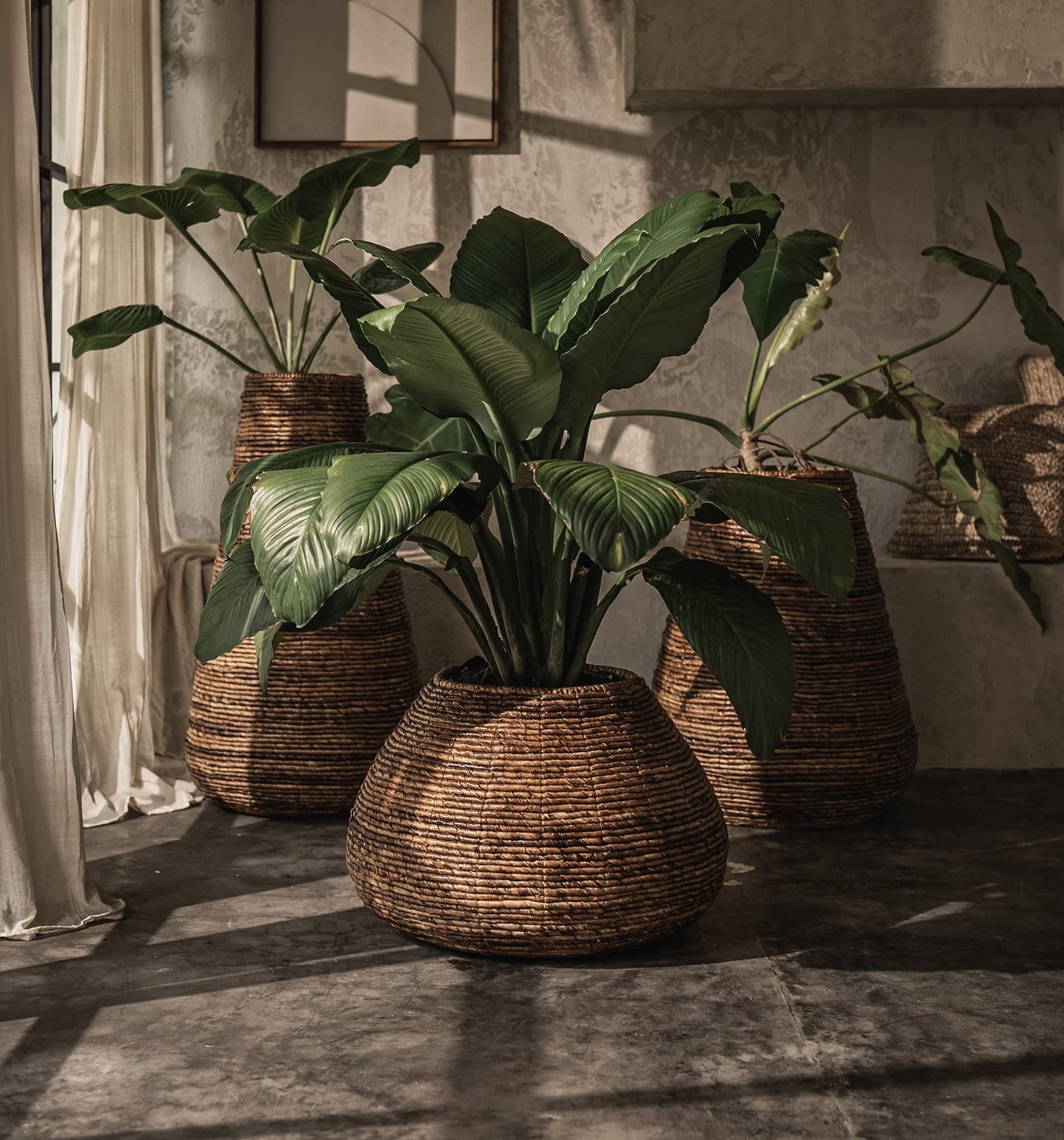 Java Planter