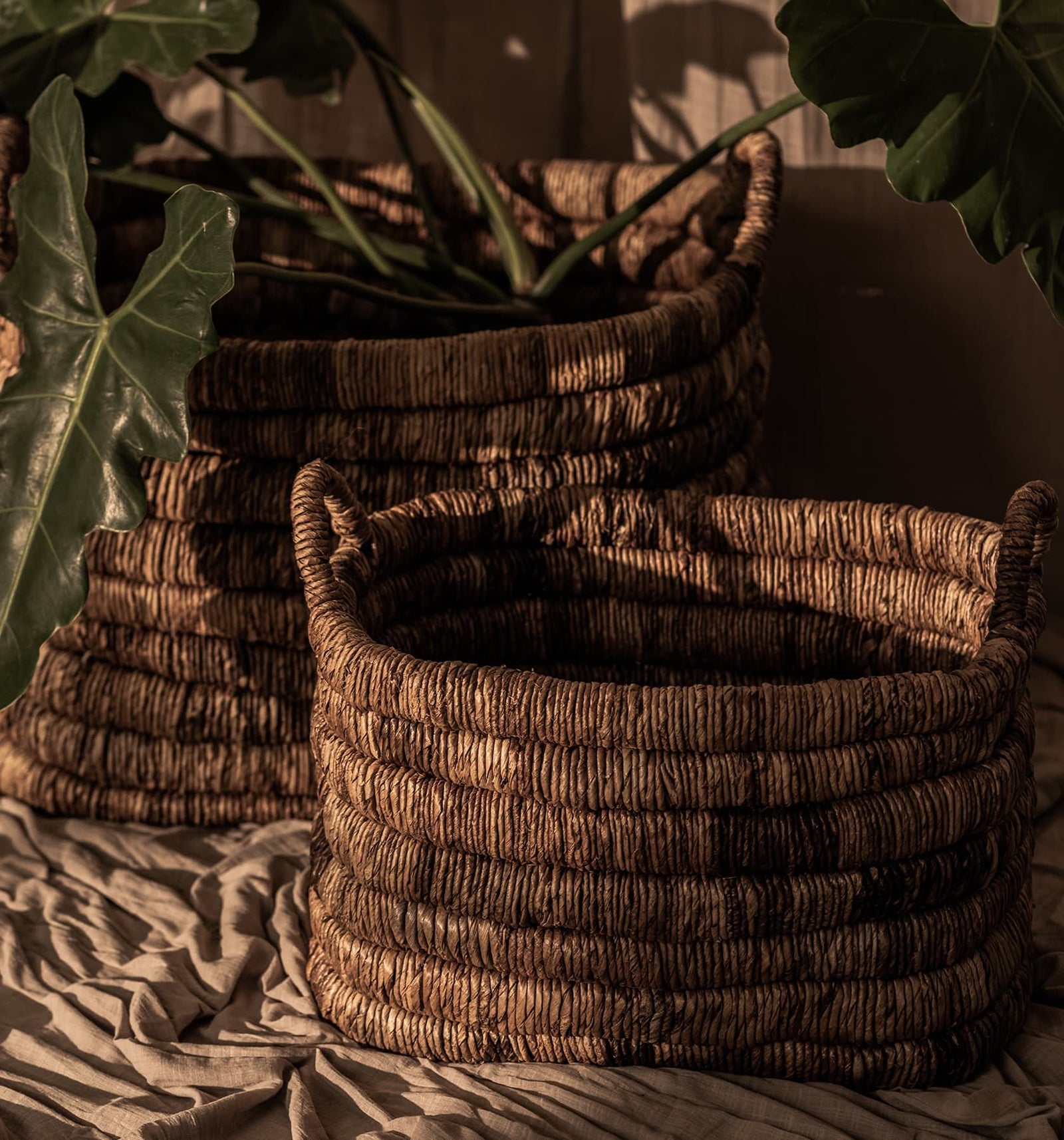 Caterpillar Sago Rectangular Basket Two-Tone - Set Of 2