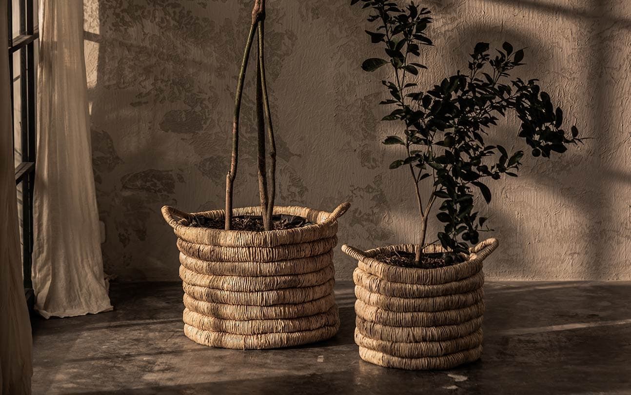Caterpillar Sago Round Basket
