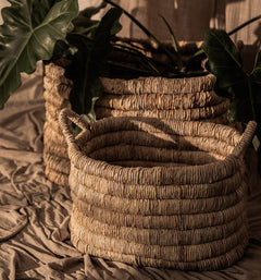Caterpillar Sago Rectangular Basket